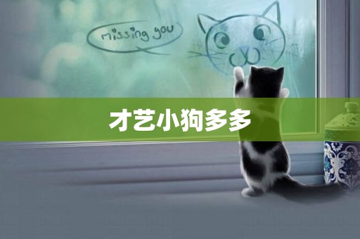 才藝小狗多多