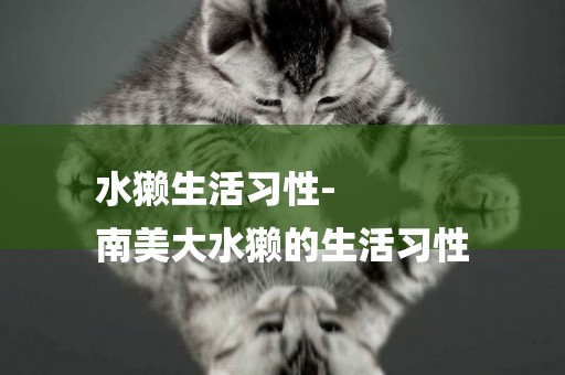 水獺生活習性-
南美大水獺的生活習性