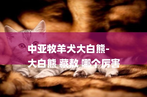中亞牧羊犬大白熊-
大白熊 藏敖 哪個厲害
