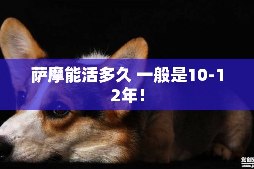 薩摩能活多久 一般是10-12年！