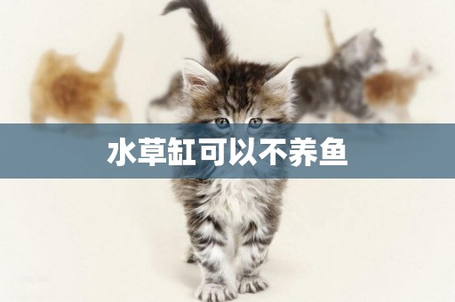 水草缸可以不養魚