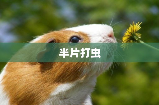 半片打蟲