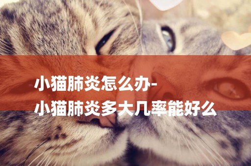 小貓肺炎怎么辦-
小貓肺炎多大幾率能好么
