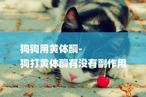狗狗用黃體酮-
狗打黃體酮有沒有副作用