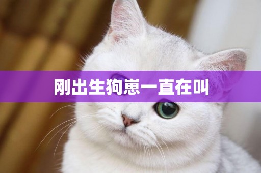 剛出生狗崽一直在叫