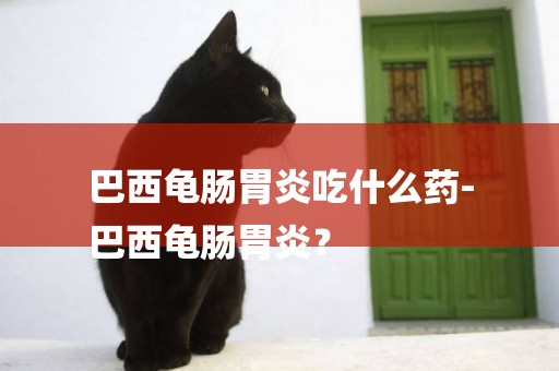 巴西龜腸胃炎吃什么藥-
巴西龜腸胃炎？
