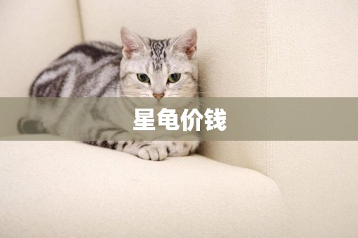 星龜價錢