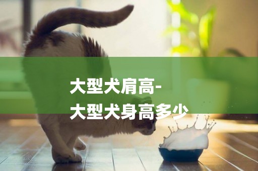 大型犬肩高-
大型犬身高多少