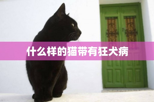 什么樣的貓帶有狂犬病