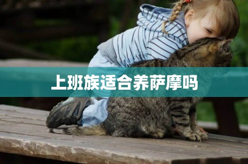 上班族適合養薩摩嗎