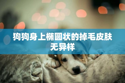 狗狗身上橢圓狀的掉毛皮膚無異樣