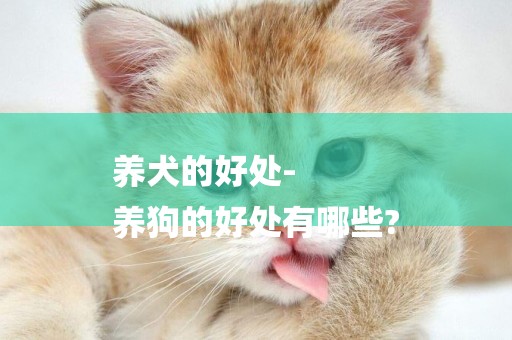 養犬的好處-
養狗的好處有哪些?