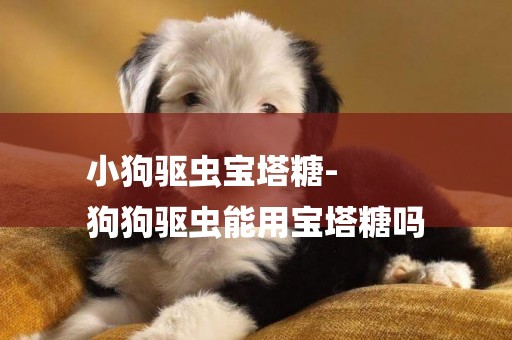 小狗驅蟲寶塔糖-
狗狗驅蟲能用寶塔糖嗎