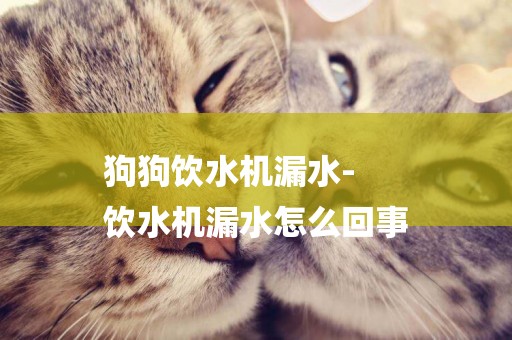 狗狗飲水機漏水-
飲水機漏水怎么回事