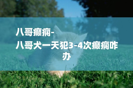 八哥癲癇-
八哥犬一天犯3-4次癲癇咋辦