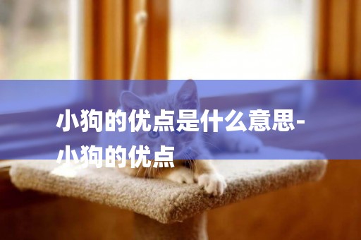 小狗的優點是什么意思-
小狗的優點