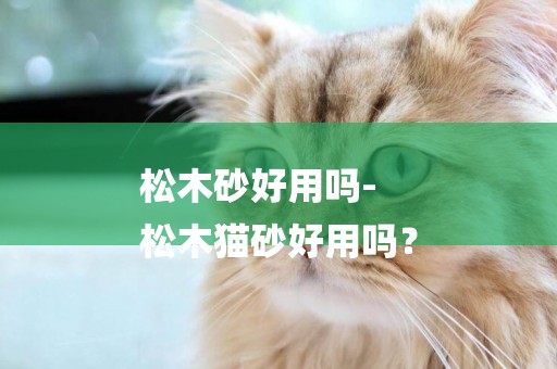 松木砂好用嗎-
松木貓砂好用嗎？