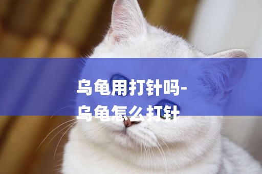 烏龜用打針嗎-
烏龜怎么打針