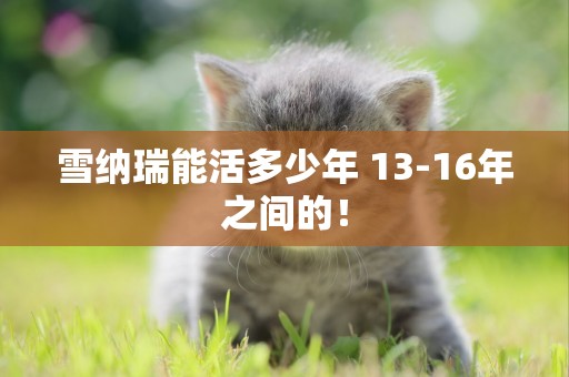 雪納瑞能活多少年 13-16年之間的！