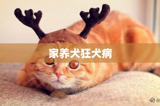 家養犬狂犬病
