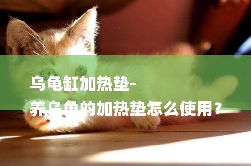 烏龜缸加熱墊-
養烏龜的加熱墊怎么使用？
