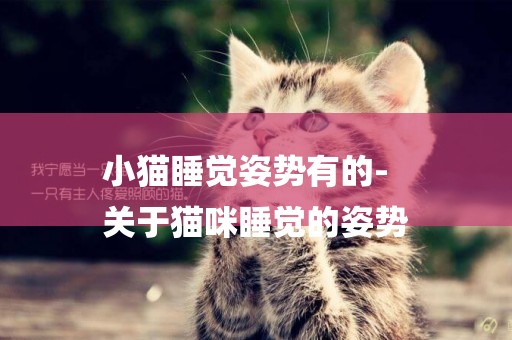 小貓睡覺姿勢有的-
關于貓咪睡覺的姿勢