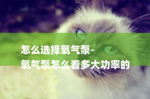 怎么選擇氧氣泵-
氧氣泵怎么看多大功率的