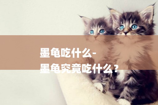 墨龜吃什么-
墨龜究竟吃什么？