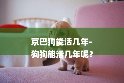 京巴狗能活幾年-
狗狗能活幾年呢？