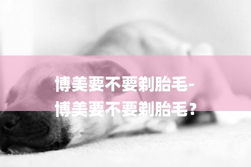 博美要不要剃胎毛-
博美要不要剃胎毛？