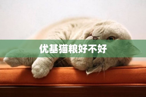 優基貓糧好不好