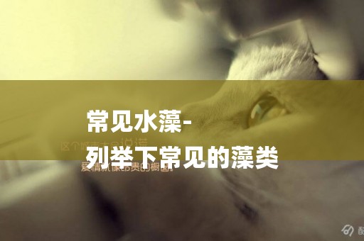 常見水藻-
列舉下常見的藻類