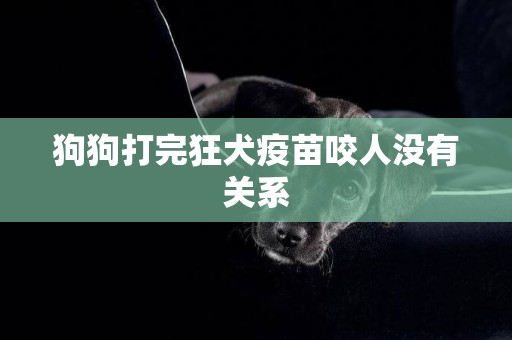 狗狗打完狂犬疫苗咬人沒有關系