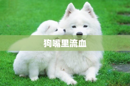 狗嘴里流血