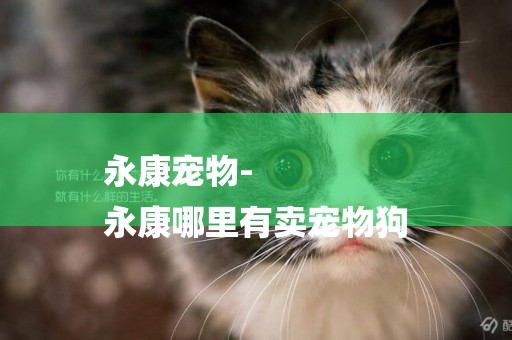 永康寵物-
永康哪里有賣寵物狗