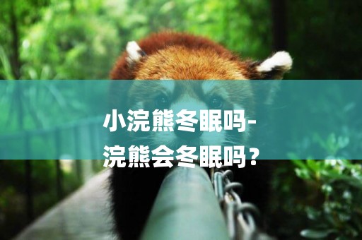 小浣熊冬眠嗎-
浣熊會冬眠嗎？