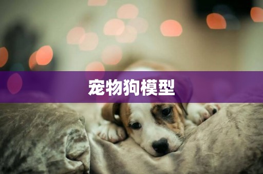 寵物狗模型