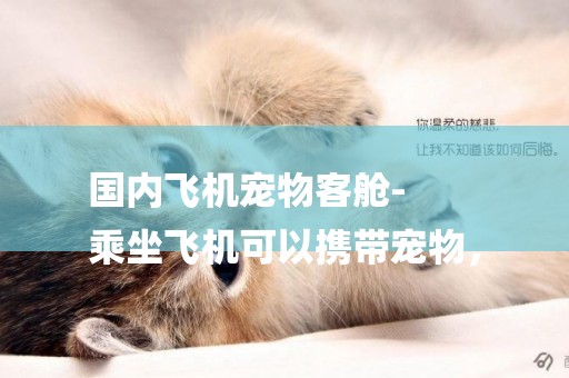 國內飛機寵物客艙-
乘坐飛機可以攜帶寵物，