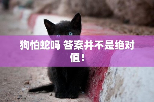 狗怕蛇嗎 答案并不是絕對值！