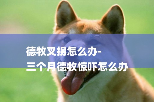 德牧叉拐怎么辦-
三個月德牧驚嚇怎么辦