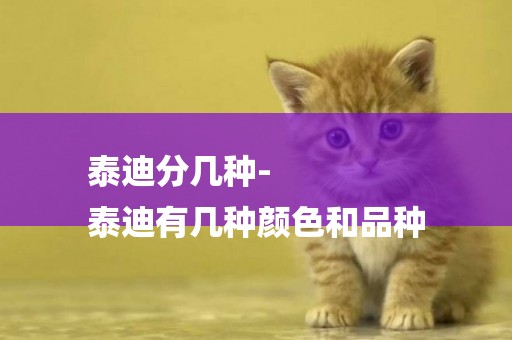 泰迪分幾種-
泰迪有幾種顏色和品種