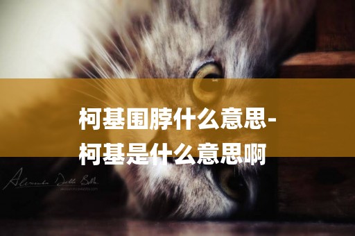 柯基圍脖什么意思-
柯基是什么意思啊