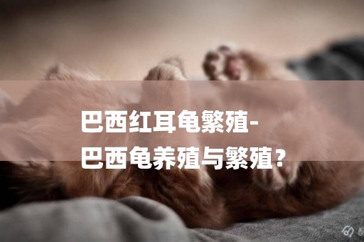 巴西紅耳龜繁殖-
巴西龜養殖與繁殖？