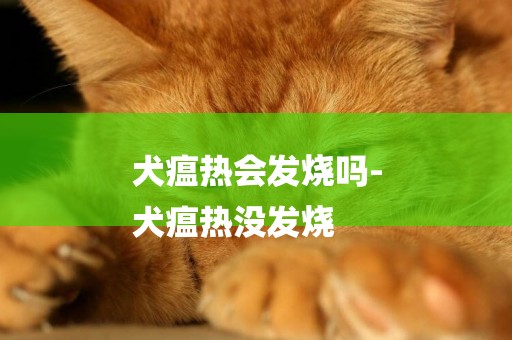 犬瘟熱會發燒嗎-
犬瘟熱沒發燒