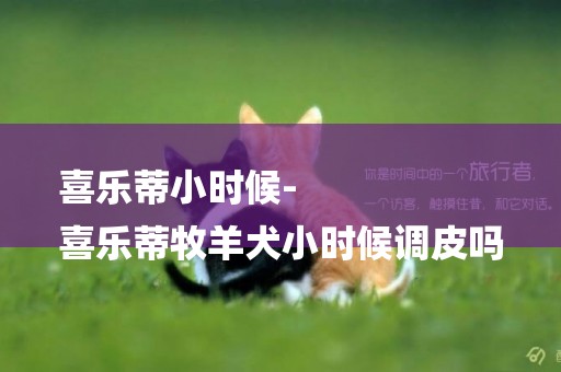喜樂蒂小時候-
喜樂蒂牧羊犬小時候調皮嗎