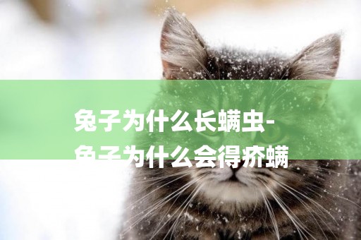 兔子為什么長螨蟲-
兔子為什么會得疥螨