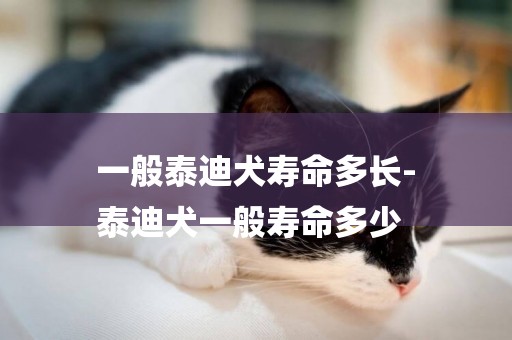 一般泰迪犬壽命多長-
泰迪犬一般壽命多少