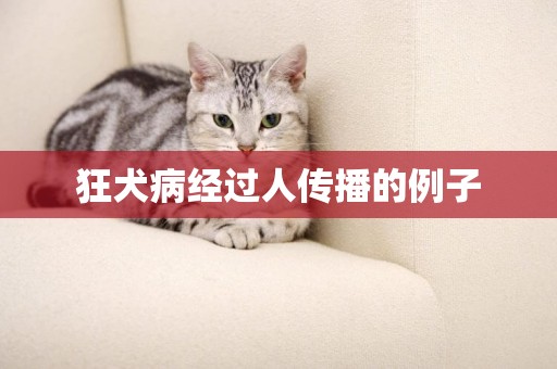 狂犬病經過人傳播的例子