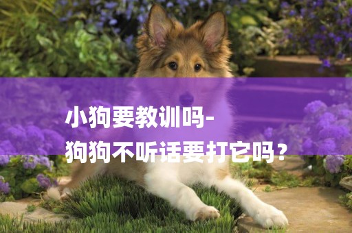 小狗要教訓嗎-
狗狗不聽話要打它嗎？