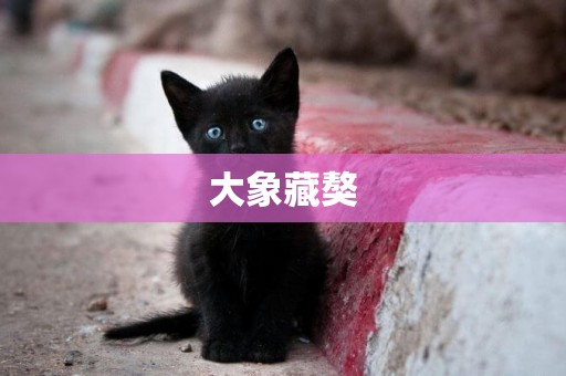 大象藏獒